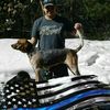 joshyork88