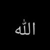 hannn.243