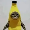 nekosamalunch