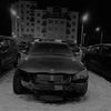 88_kot_88