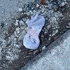 socksonmywalks