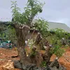 nguyenduongnguye5