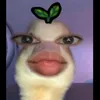 neeeeeeek0