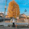 useryz1kgm2dj7