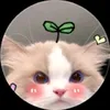 kieu.oanh9319