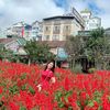 _ngoc_34
