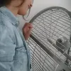 wawittawissal