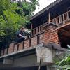 pejantantangguh13