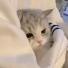 eieikiki40