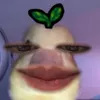 janni___