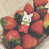 lzaa_44