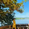 caothibichlien6