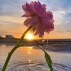 salehebrahim5