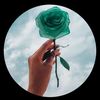 memo__434