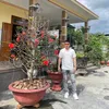 nguyen.thanh.5