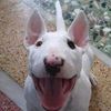 baby_walter3