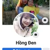 hongden86