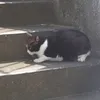 pjpmgwg0