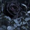 jd_entertainment0
