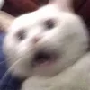 noaahhhx