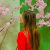 lalisa.sousa