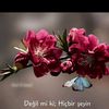 deryaserdarozcan