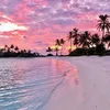 saf_691