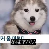 fukutzzzm