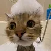pavelstacha