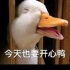 djjfcnm