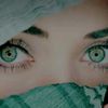 ansariuser16922279