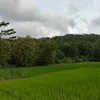 ratna_handayani01
