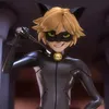 catnoirrvvv