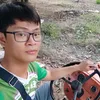 stqvinh