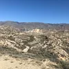 roelfm1