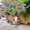 aof_sahatdet