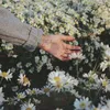 nhyy_y06