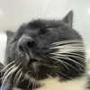 banhcanhcaloc0_0