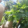 urlaub_immer0