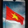 nganbao6