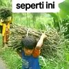 wongcili08