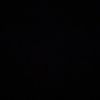sophie_morin._