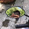 paulus_tunjung