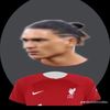 donavincii