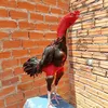 gathuandam