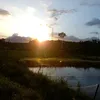 uar_38