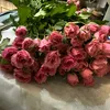 hanie1216_haohao