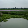 xoasan