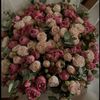 rumina0551