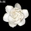 mounia_bn__
